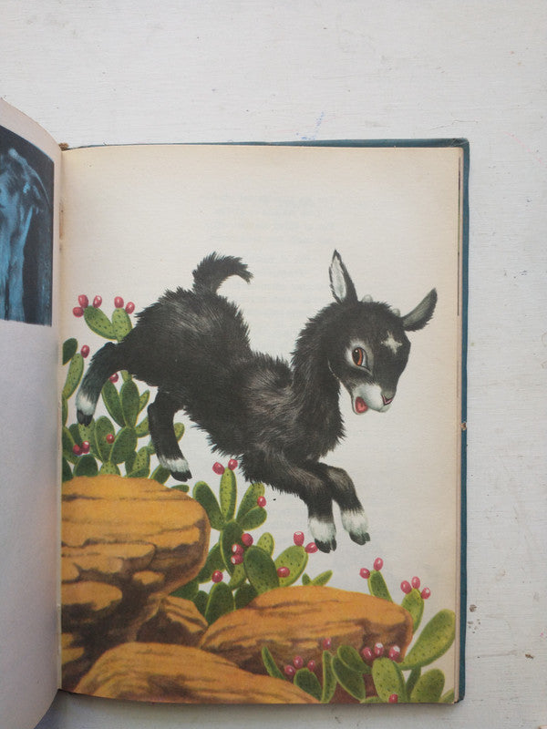 Libro usado en venta: Afan y Fe de Gaspar L. Benavento; editorial Codex impreso en 1959 realizamos envios a todo el mundo.2