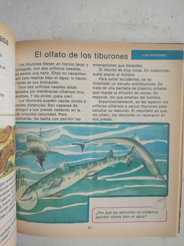 Libro usado en venta: Los Libros de Tamandua 2 en 1 de Maria Teresa Forero; editorial Aique impreso en 1989 realizamos envios a todo el mundo.4