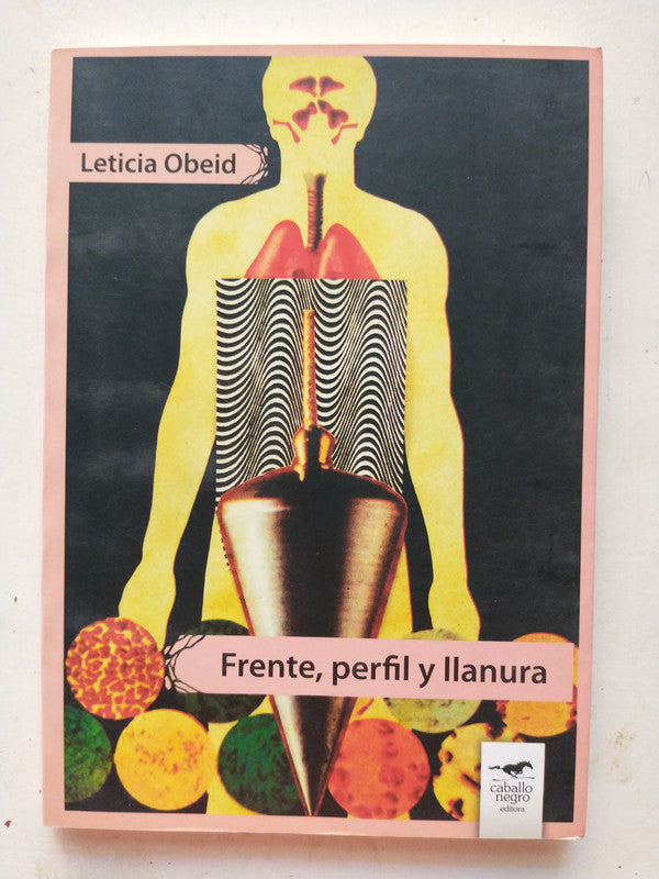 Libro usado en venta: Frente, perfil y llanura de Leticia Obeid; editorial Caballo Negro impreso en 2013 realizamos envios a todo el mundo.1