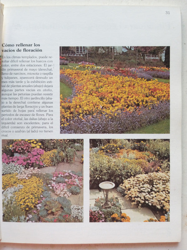 Libro usado en venta: Varices, obesidad, celulitis; editorial Flebologica Argentina impreso en 1996 realizamos envios a todo el mundo.2