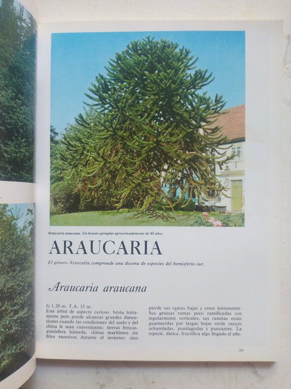 Libro usado en venta: Guia de cactus de Mariella Pizzetti; editorial Grijalbo impreso en 1988 realizamos envios a todo el mundo.2