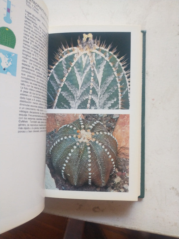 Libro usado en venta: Guia de arboles de Paola Lanzara - Mariella Pizzetti; editorial Grijalbo impreso en 1979 realizamos envios a todo el mundo.2