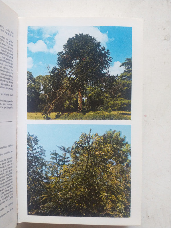 Libro usado en venta: Guia de arboles de Paola Lanzara - Mariella Pizzetti; editorial Grijalbo impreso en 1979 realizamos envios a todo el mundo.3