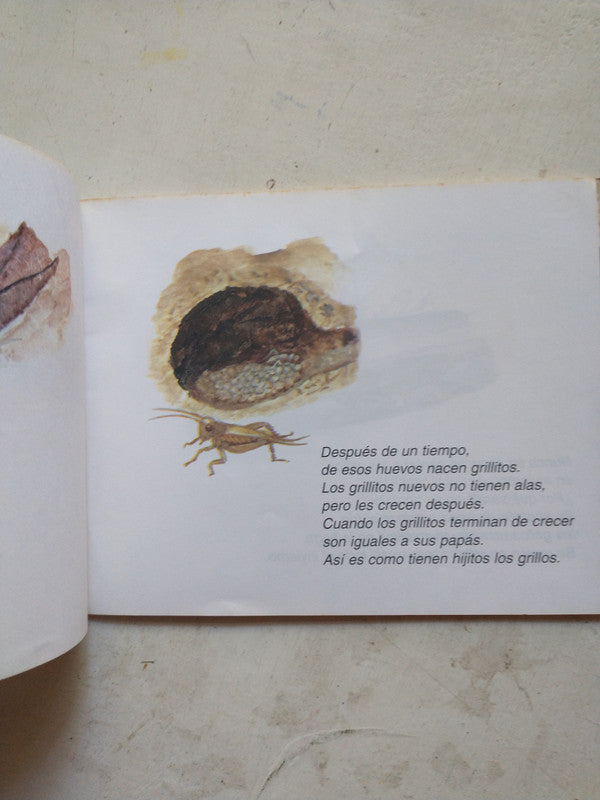Libro usado en venta: El dragon pastelero de Stephen Cosgrove; editorial Altea impreso en 1975 realizamos envios a todo el mundo.2