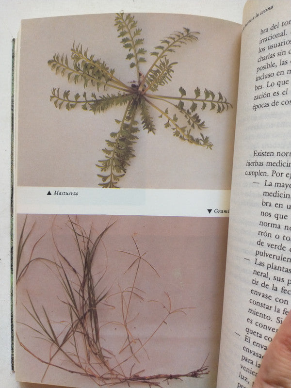 Libro usado en venta: Agricultura organica de Guillermo Schnitman - Pipo Lernoud; editorial Planeta impreso en 1992 realizamos envios a todo el mundo.3