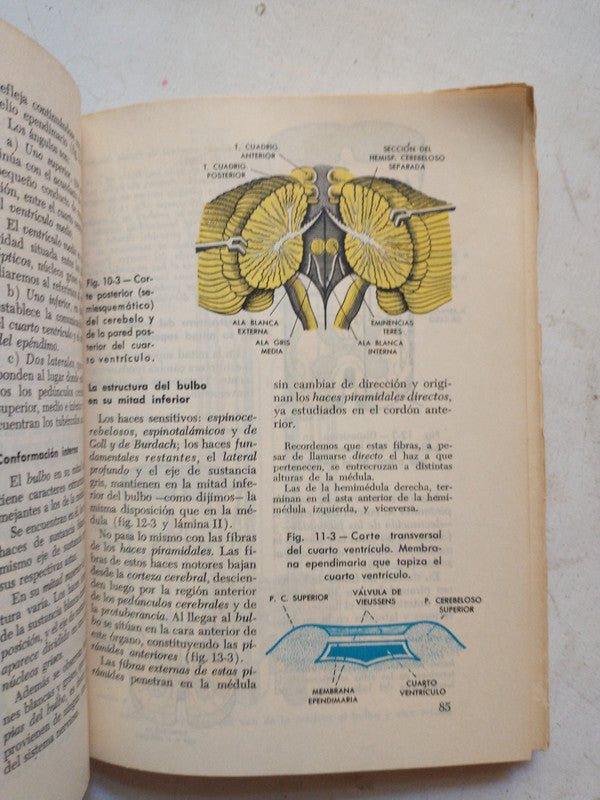 Libro usado en venta: Anatomia y fisiologia del sistema nervioso de J. A. Dos Santos Lara; editorial Troquel impreso en 1978 envios a todo el mundo.3