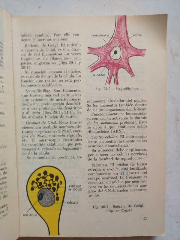 Libro usado en venta: Anatomia y fisiologia del sistema nervioso de J. A. Dos Santos Lara; editorial Troquel impreso en 1978 envios a todo el mundo.4