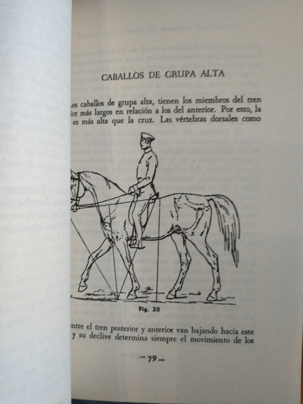 Libro usado en venta: Tres novelitas burguesas de Jose Donoso; editorial Sudamericana-Planeta impreso en 1981 realizamos envios a todo el mundo.2