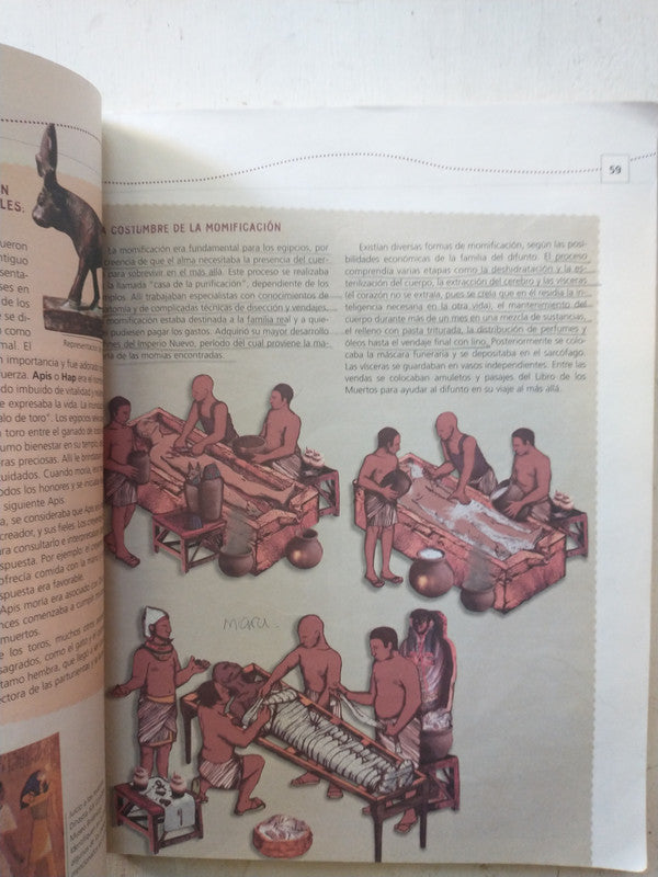 Libro usado en venta: Desde la prehistoria hasta el medioevo de Silvia Vazquez de Fernandez; editorial Kapelusz impreso en 2003 envios a todo el mundo.2