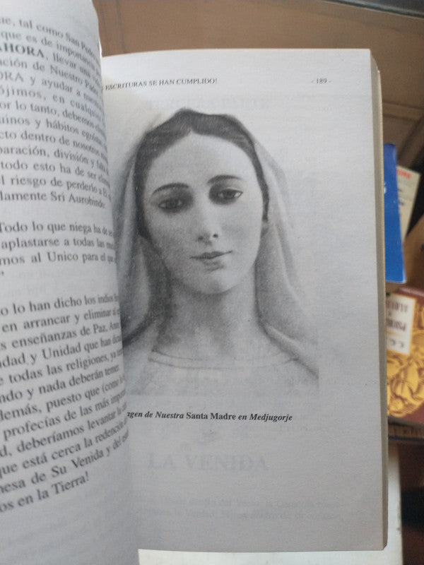 Libro usado en venta: Caballo de Troya 5 de J. J. Benitez; editorial Planeta impreso en 1996 realizamos envios a todo el mundo.2