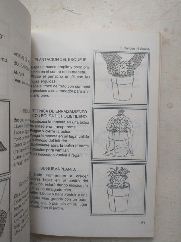 Libro usado en venta: El reino del Arco Iris de Adela Vettier; editorial Pehuen-co impreso en 1987 realizamos envios a todo el mundo.2