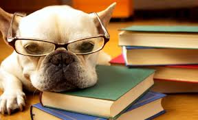 Libros usados sobre animales.