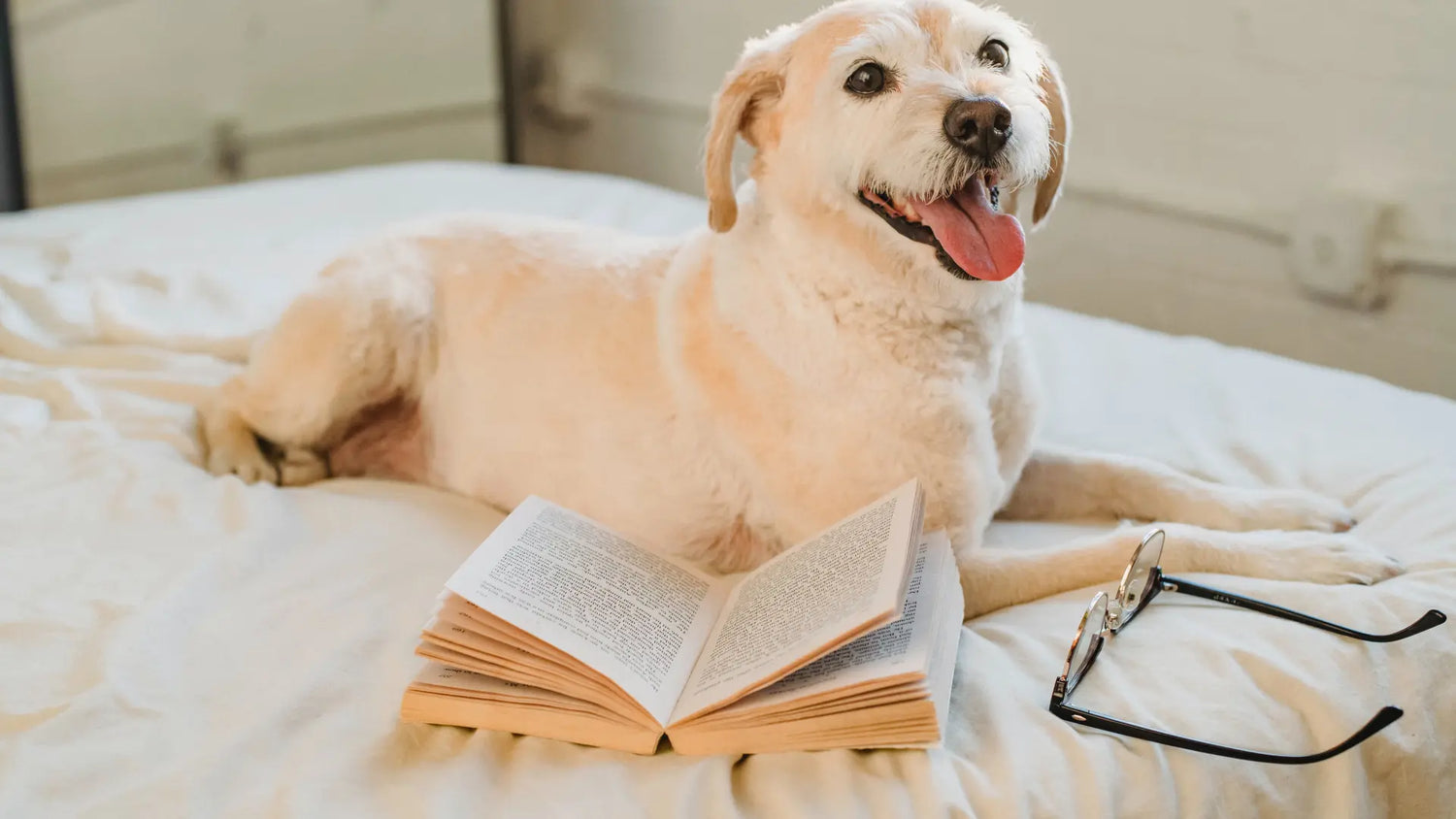 Libros de Razas de Perros