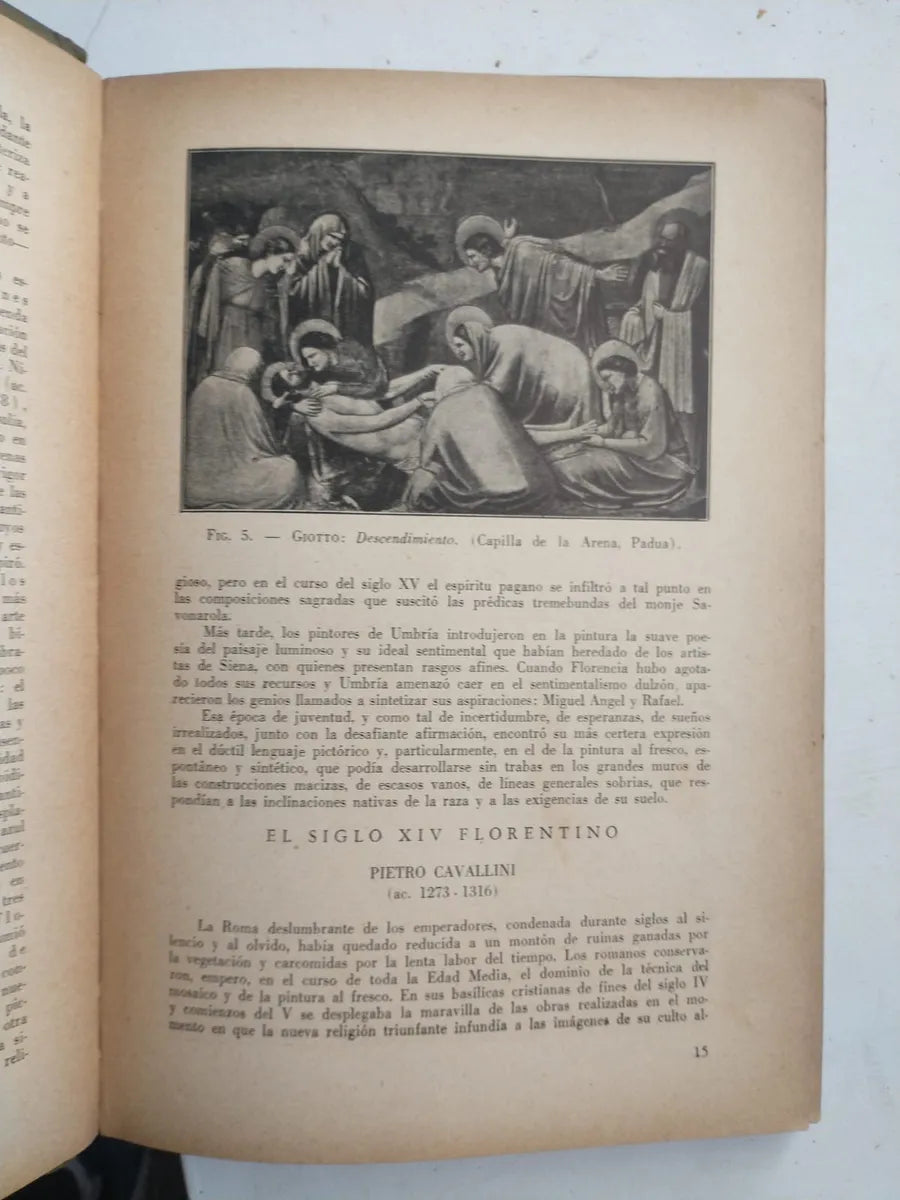 Libro usado en venta: La pintura en Italia de Maria Ines Rivera; editorial Futuro impreso en 1945 realizamos envios a todo el mundo.2