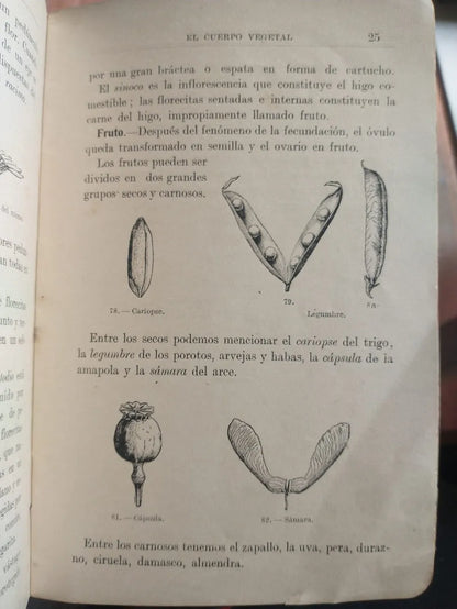 Libro usado en venta: Reino vegetal; editorial Cabaut y Cia realizamos envios a todo el mundo.2