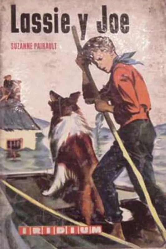 Libro usado en venta: Lassie y Joe de Suzanne Pairault; editorial Kapelusz impreso en 1965 realizamos envios a todo el mundo.1