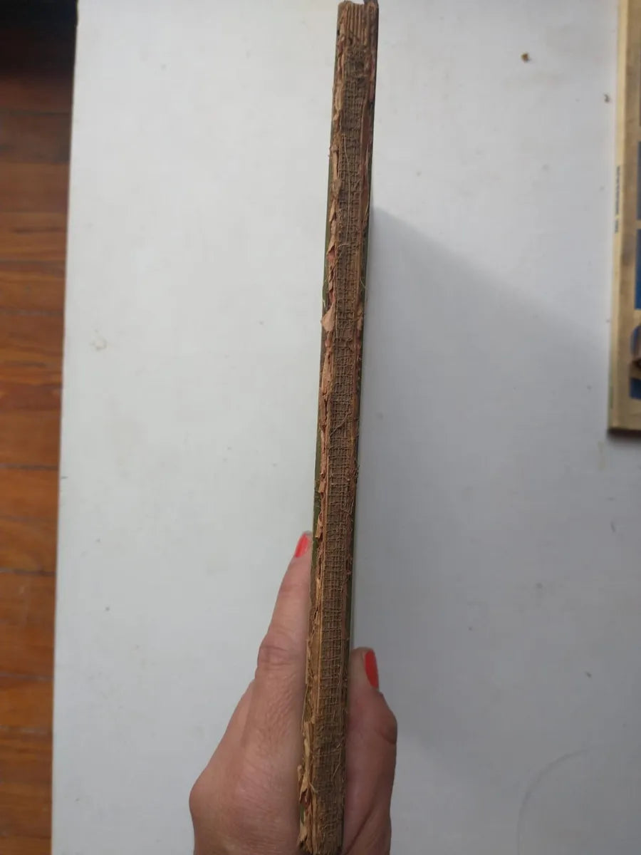 Libro usado en venta: La pintura en Italia de Maria Ines Rivera; editorial Futuro impreso en 1945 realizamos envios a todo el mundo.3