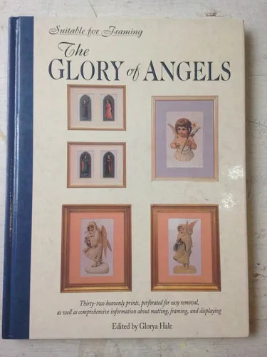 Libro usado en venta: The glory of angels de Glorya Hale; editorial Gramercy Park Book impreso en 1994 realizamos envios a todo el mundo.1
