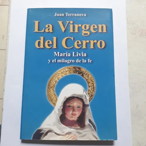 Libro usado en venta: La Virgen del Cerro de Juan Terranova; editorial Sudamericana impreso en 2007 realizamos envios a todo el mundo.1