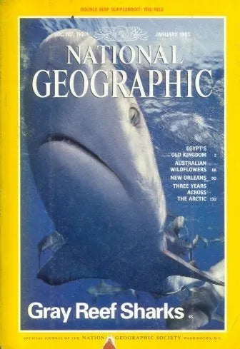 Libro usado en venta: Enero - 1995 de National Geographic; editorial National Geographic Society impreso en 1995 realizamos envios a todo el mundo.1