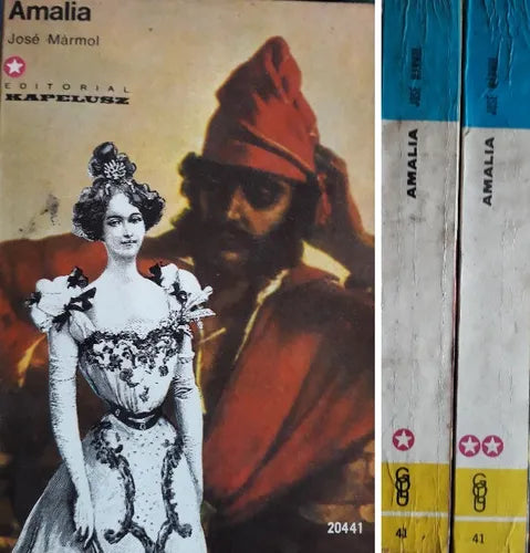 Libro usado en venta: Amalia de Jose Marmol; editorial Kapelusz impreso en 1968 realizamos envios a todo el mundo.1
