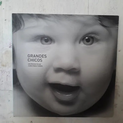 Libro usado en venta: Grandes chicos de Juan Pablo Sorin; editorial La pelota roja impreso en 2005 realizamos envios a todo el mundo.1