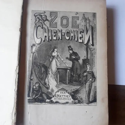 Libro usado en venta: Zoe Chien-chien de A. Matthey; editorial Collombon et Brule impreso en 1922 realizamos envios a todo el mundo.1