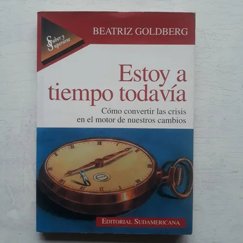 Libro usado en venta: Estoy a tiempo todavia de Beatriz Goldberg; editorial Sudamericana impreso en 1996 realizamos envios a todo el mundo.1
