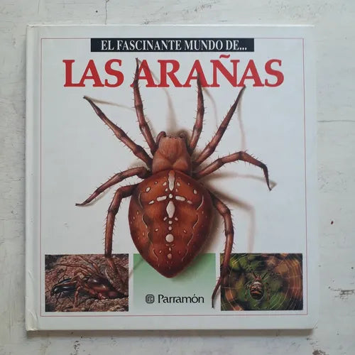 Libro usado en venta: El fascinante mundo de las ara?as; editorial Parramon impreso en 1998 realizamos envios a todo el mundo.1