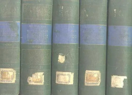 Libro usado en venta: Diccionario general etimologico de la lengua espa?ola de Roque Barcia; editorial Anaconda realizamos envios a todo el mundo.1