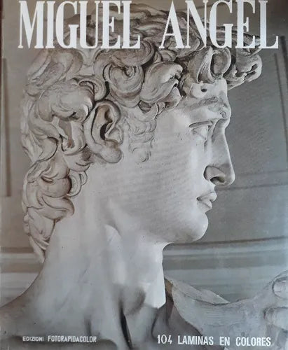 Libro usado en venta: Miguel Angel de Loretta Santini; editorial Terni, Editore Stampatore Fotorapidacolor impreso en 1972 envios a todo el mundo.1