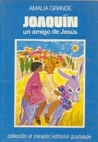 Libro usado en venta: Joaquin un amigo de Jesus de Amalia Grande; editorial Guadalupe impreso en 1986 realizamos envios a todo el mundo.1
