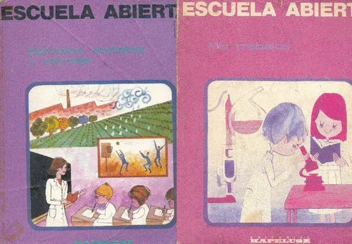 Libro usado en venta: Escuela Abierta 3; editorial Kapelusz impreso en 1981 realizamos envios a todo el mundo.1