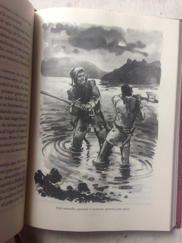 Libro usado en venta: La flecha negra (Ilustrado) de Robert Louis Stevenson; editorial Edhasa impreso en 2005 realizamos envios a todo el mundo.3