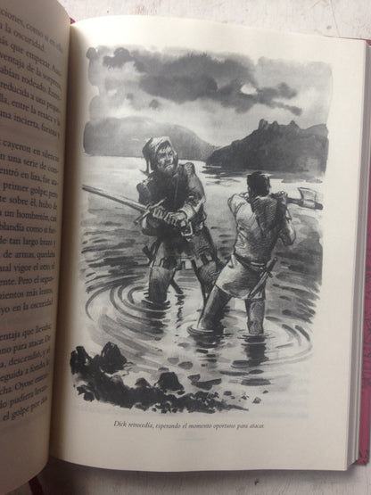 Libro usado en venta: La flecha negra (Ilustrado) de Robert Louis Stevenson; editorial Edhasa impreso en 2005 realizamos envios a todo el mundo.3
