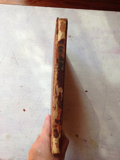 Libro usado en venta: La epifania de la Rosa - Ilustraciones de Pablo Serrano de Ernesto Pinto; editorial Mosca Hermanos impreso en 1942.3