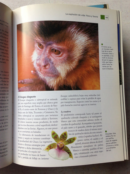 Libro usado en venta: Enciclopedia de la Argentina (2 Tomos); editorial Oceano impreso en 1998 realizamos envios a todo el mundo.4