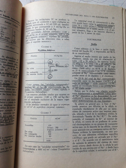 Libro usado en venta: Directorio de exportadores argentinos; editorial Camara de exportadores de la Republica Argentina impreso en 1992.2