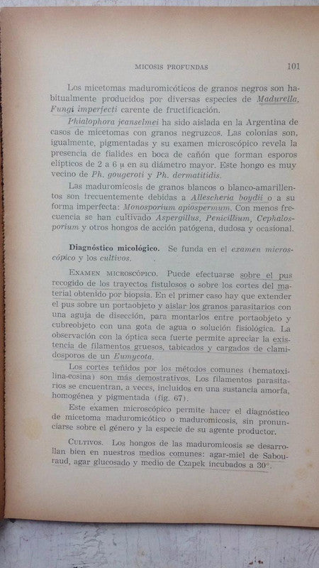 Libro usado en venta: Micosis cutaneas y viscerales de Pablo Negroni; editorial Lopez Libreros impreso en 1975 realizamos envios a todo el mundo.2