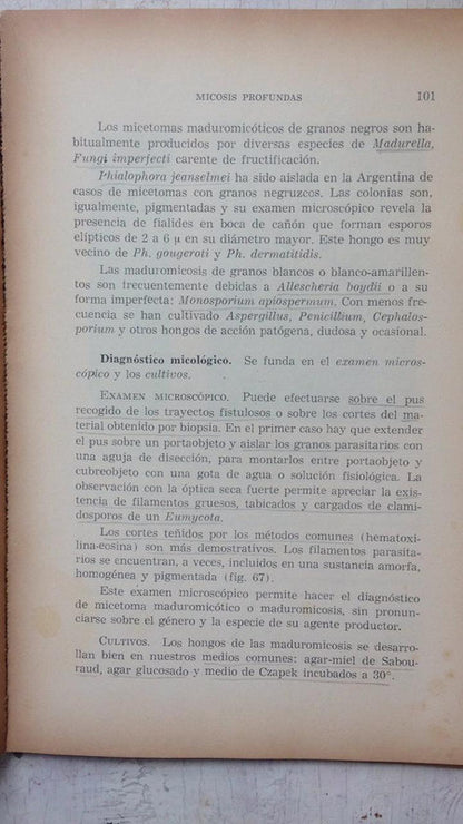 Libro usado en venta: Micosis cutaneas y viscerales de Pablo Negroni; editorial Lopez Libreros impreso en 1975 realizamos envios a todo el mundo.2