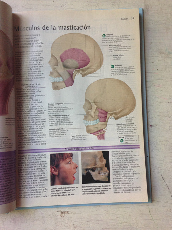 Libro usado en venta: Messi - El patriota de Daniel Arcucci; editorial La Nacion impreso en 2014 realizamos envios a todo el mundo.2