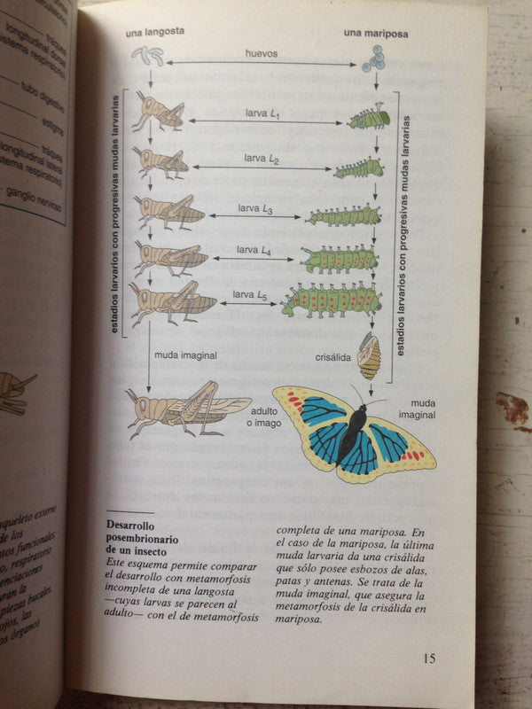 Libro usado en venta: Depresion y diabetes de Wayne Katon - Mario Maj - Norman Sartorius; editorial John Wiley & Sons impreso en 2010.2