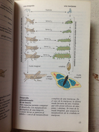 Libro usado en venta: Depresion y diabetes de Wayne Katon - Mario Maj - Norman Sartorius; editorial John Wiley & Sons impreso en 2010.2