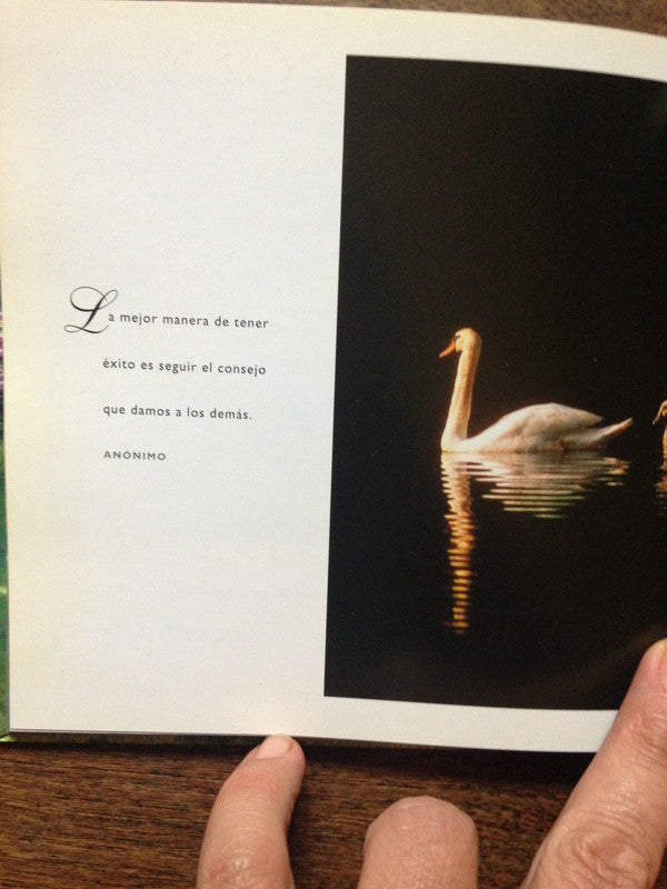 Libro usado en venta: Desarrollo forestal y medio ambiente de Carlos Perez Arrarte (Comp.); editorial CIEDUR impreso en 1984 envios a todo el mundo.2