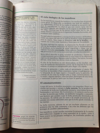 Libro usado en venta: Tabla de logaritmos con cinco decimales de P. Houel; editorial Glem impreso en 1944 realizamos envios a todo el mundo.2