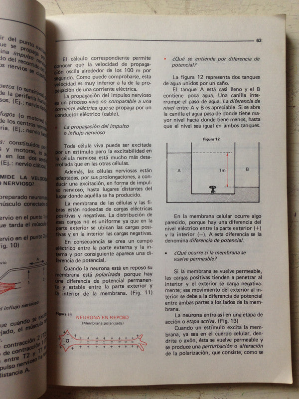 Libro usado en venta: Proyecto eden de Walter Jose Campagna; editorial Dunken impreso en 2013 realizamos envios a todo el mundo.2