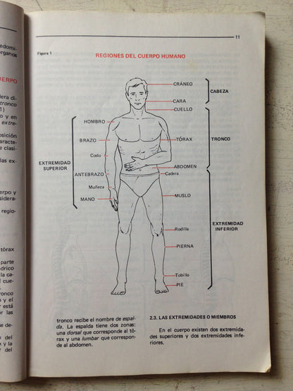 Libro usado en venta: Biologia 4 de Pedro Zarur; editorial Plus Ultra impreso en 1997 realizamos envios a todo el mundo.3