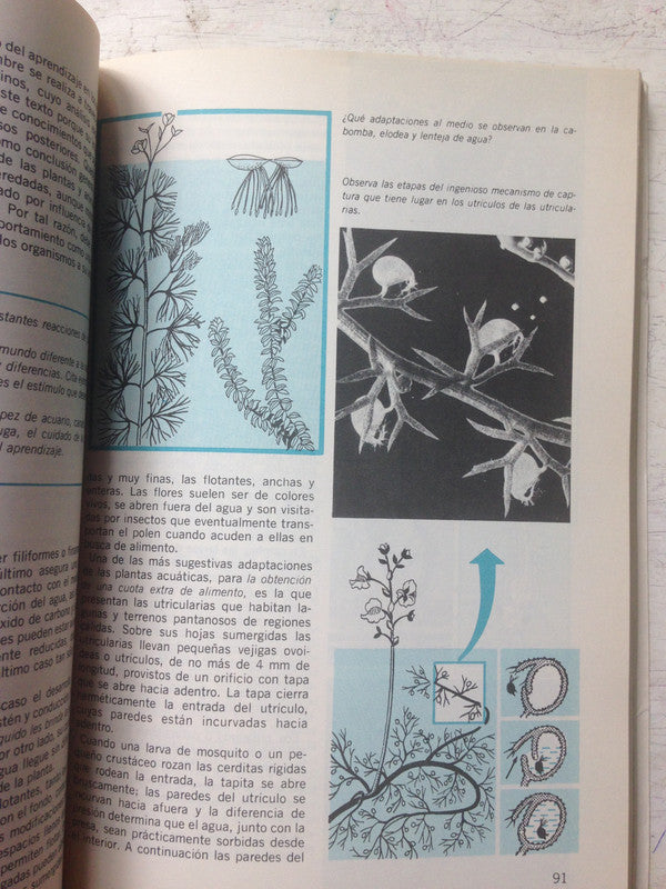 Libro usado en venta: Organizaciones modernas de Amitai Etzioni; editorial Hispano Americana impreso en 1975 realizamos envios a todo el mundo.2