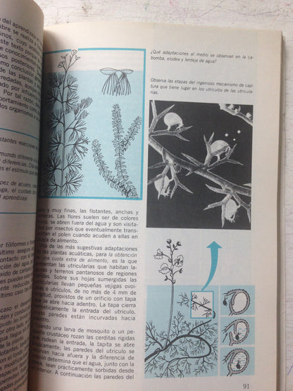 Libro usado en venta: Organizaciones modernas de Amitai Etzioni; editorial Hispano Americana impreso en 1975 realizamos envios a todo el mundo.2