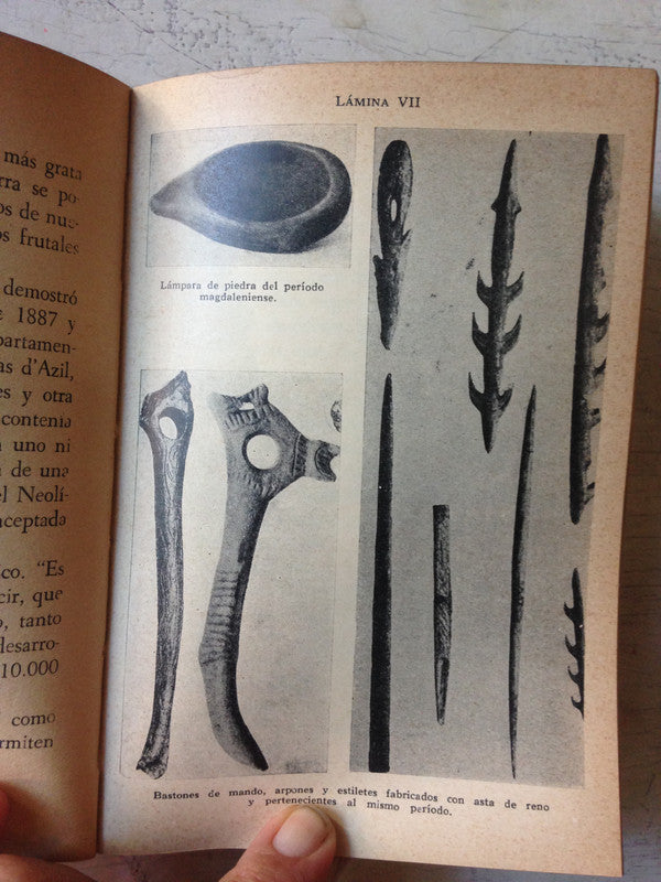 Libro usado en venta: Juvenilia de Miguel Cane; editorial Tor realizamos envios a todo el mundo.2